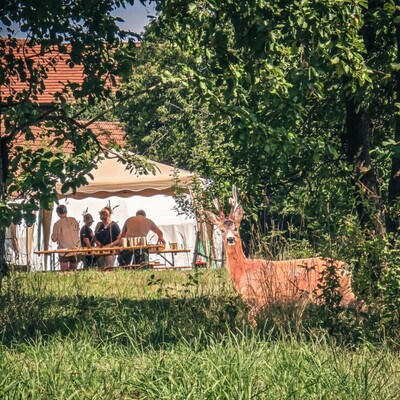 Wildes Wissen beim Heimat- und Naturfestival Neukirchen Balbini