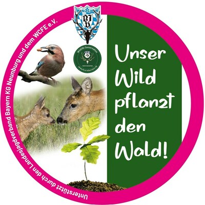 Aktionsbeschreibung Eichelhäher-Kästen Aktionsbeschreibung Eichelhäher-Kästen