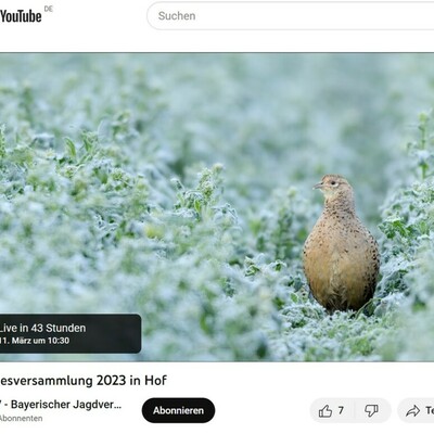 Zum Live-Stream des Landesjägertages 2023 in Hof Zum Live-Stream des Landesjägertages 2023 in Hof