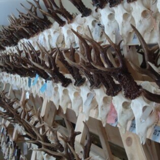 ACHTUNG TERMINE für HEGESCHAU so mit Landratsamt richtig abgesprochen !!!!